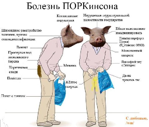 Болезнь ПОРКинсона Когнитивные Нарушения территориальной нарушения целостности государства Шизоидное расстройство Ебало невозможно имаджинировать психики, кризис самоиденттификации перефорса П(орки) у