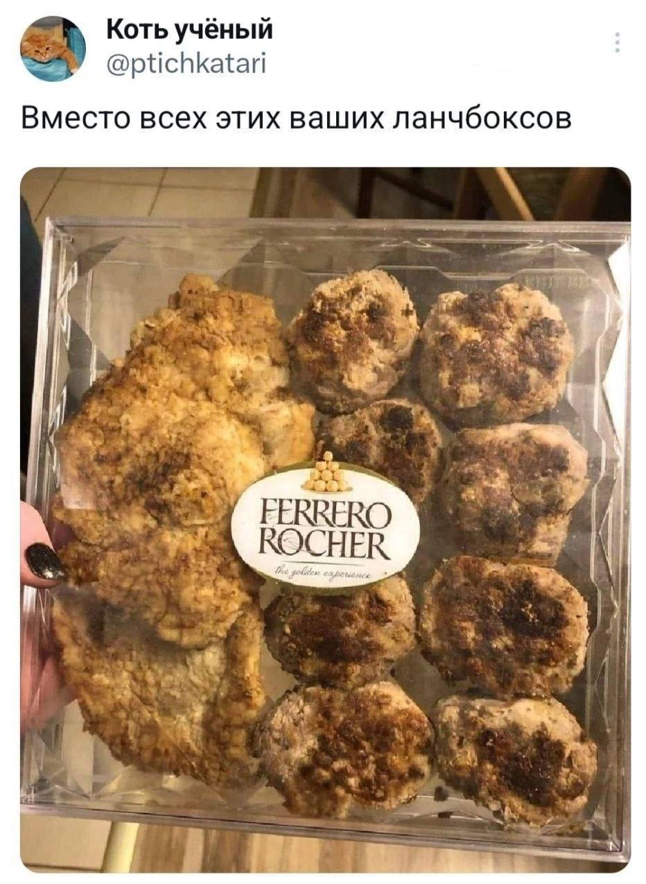 Коть учёный @ptichkatari Вместо всех этих ваших ланчбоксов
