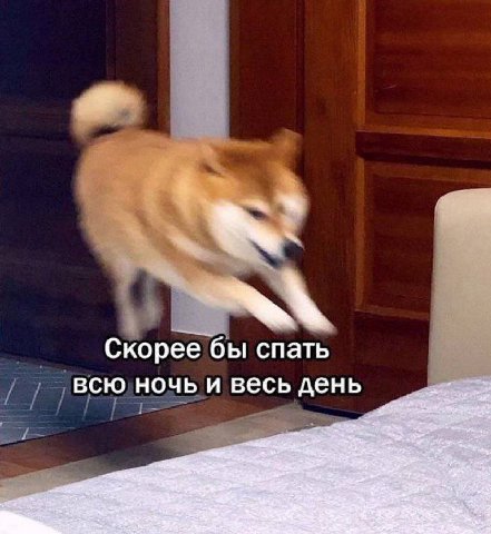 Скорее ее бы спать всю ночь и весь день