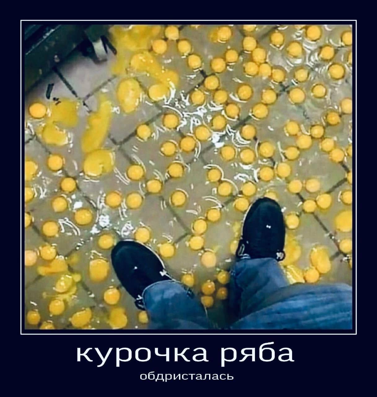 курочка ряба обдристалась