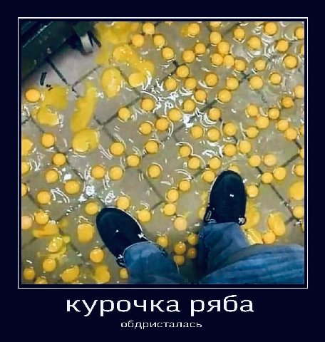 курочка ряба обдристалась
