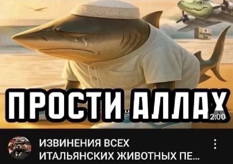 ПРОСТИ. ANNAY ИЗВИНЕНИЯ ВСЕХ ИТАЛЬЯНСКИХ ЖИВОТНЫХ