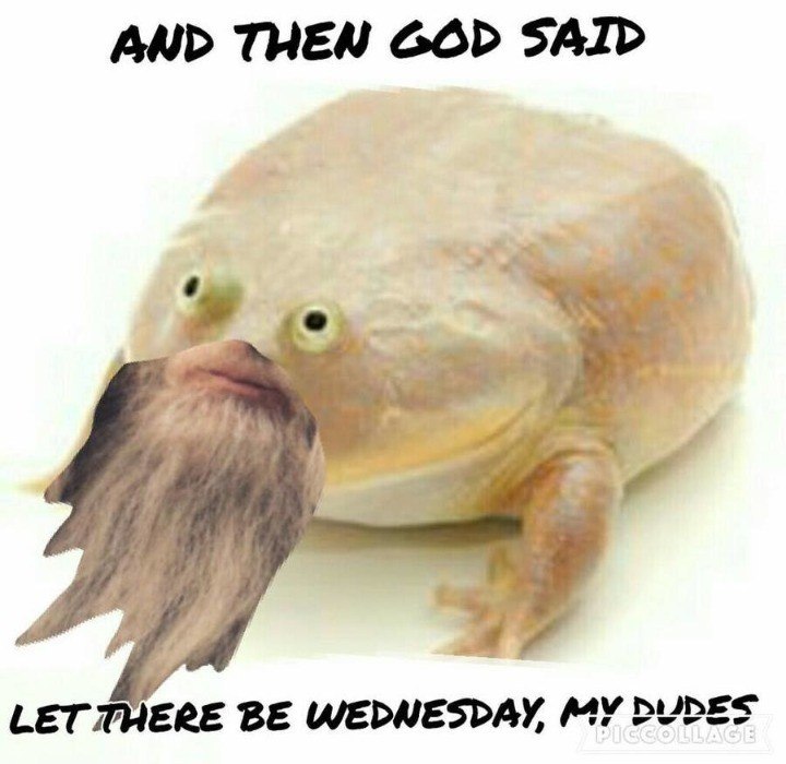 AND THEN GOD SAID у LET THERE BE WEDNESDAY, MY DUDES