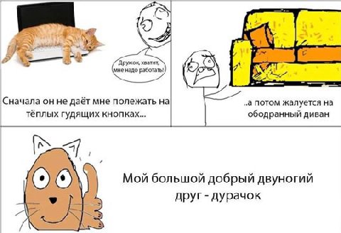Дружок, хватит, мне надо работать! Сначала он не даёт мне полежать на а потом жалуется на тёплых гудящих кнопках... ободранный диван Мой большой добрый двуногий друг дурачок К