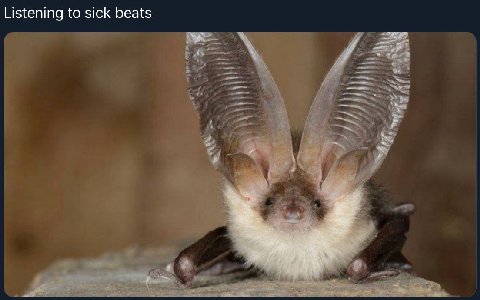 Listening to sick beats