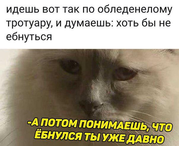 идешь вот так по обледенелому тротуару, и думаешь: хоть бы не ебнуться -АПОТОМ ПОНИМА ЕШЬ ЕБНУЛСЯ ТЫУЖЕ ДАВ
