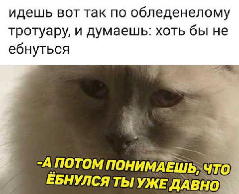 идешь вот так по обледенелому тротуару, и думаешь: хоть бы не ебнуться -АПОТОМ ПОНИМА ЕШЬ ЕБНУЛСЯ ТЫУЖЕ ДАВ