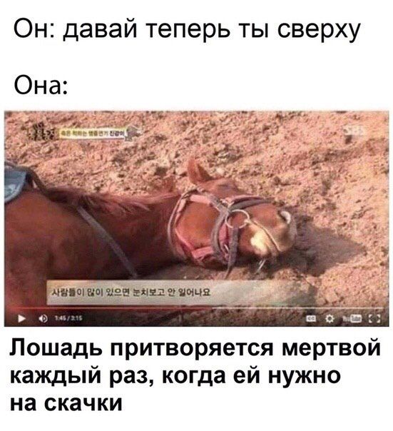 Он: давай теперь ты сверху Она: я Я Лошадь притворяется мертвой каждый раз, когда нужно на скачки
