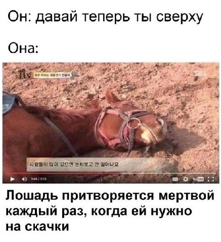 Он: давай теперь ты сверху Она: я Я Лошадь притворяется мертвой каждый раз, когда нужно на скачки