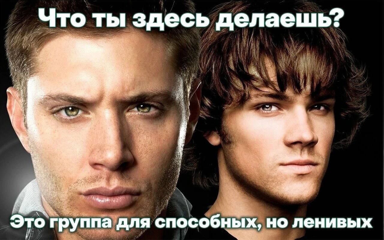 Что ты здесь делаешь? 5, we у Veg Это группа для способных, но ленивых