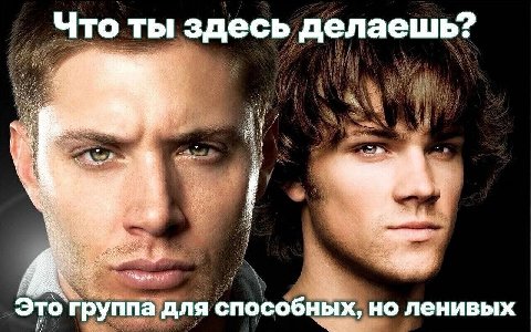 Что ты здесь делаешь? 5, we у Veg Это группа для способных, но ленивых