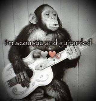 acoustic and