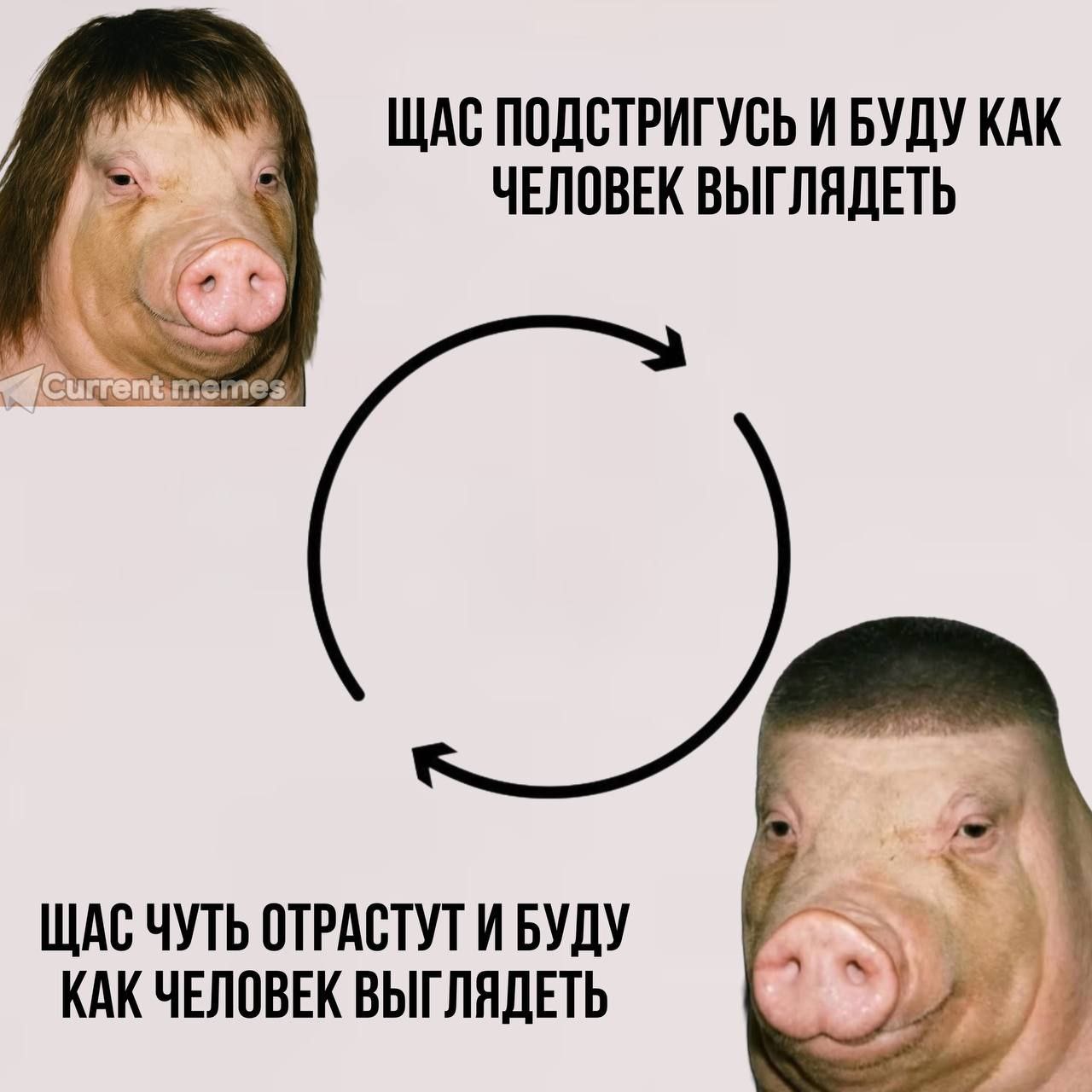 ЩАС ПОДСТРИГУСЬ И БУДУ КАК ЧЕЛОВЕК ВЫГЛЯДЕТЬ @Currer emes ЩАС ЧУТЬ ОТРАСТУТ И БУДУ КАК ЧЕЛОВЕК ВЫГЛЯДЕТЬ