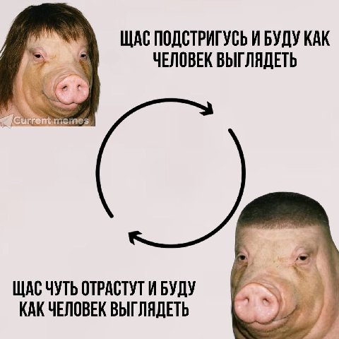 ЩАС ПОДСТРИГУСЬ И БУДУ КАК ЧЕЛОВЕК ВЫГЛЯДЕТЬ @Currer emes ЩАС ЧУТЬ ОТРАСТУТ И БУДУ КАК ЧЕЛОВЕК ВЫГЛЯДЕТЬ