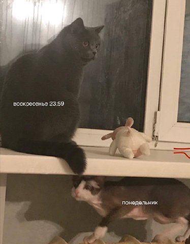 воскресенье 23:59 понедельник