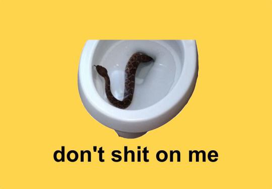 don't shit on me