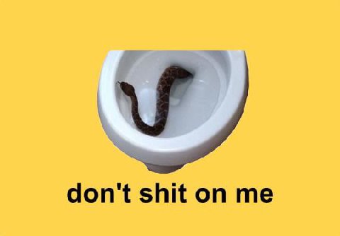 don't shit on me