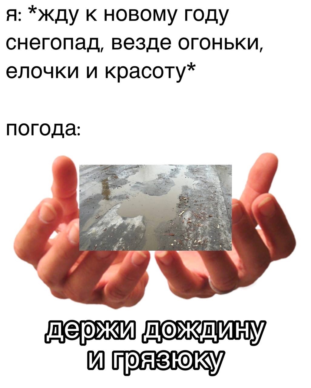 я: *Жду к новому году снегопад, везде огоньки, елочки и красоту* ПОГОДА: И