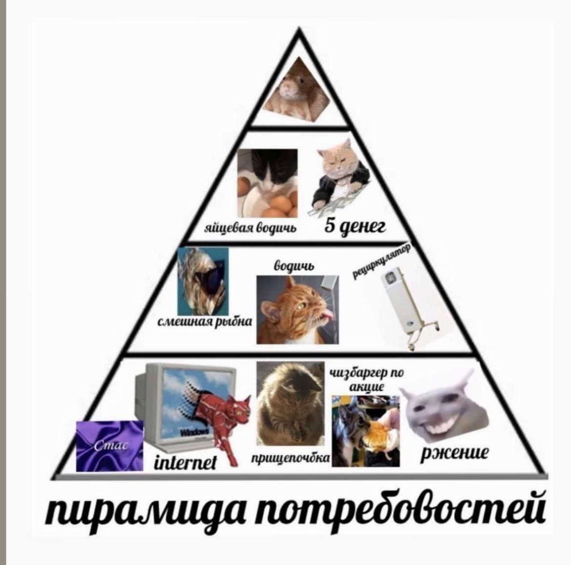 бодичь tly смешная рыбна чизбаргер по internet пирамида nompedobocmeit