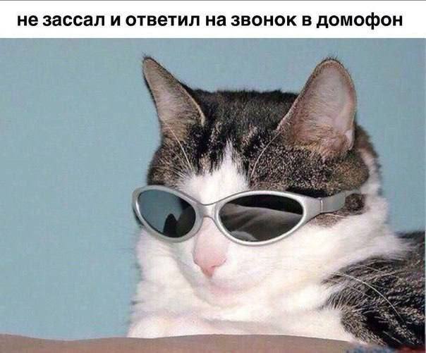 не зассал и ответил на звонок в домофон