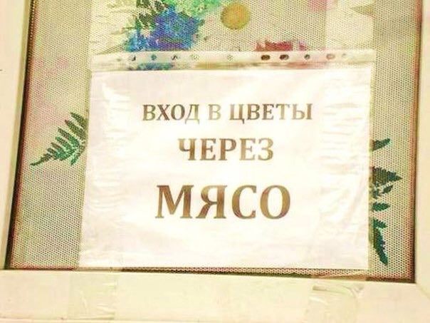 3 ВХОЛ В ЦВЕТЫ ЧЕРЕЗ МЯСО 3