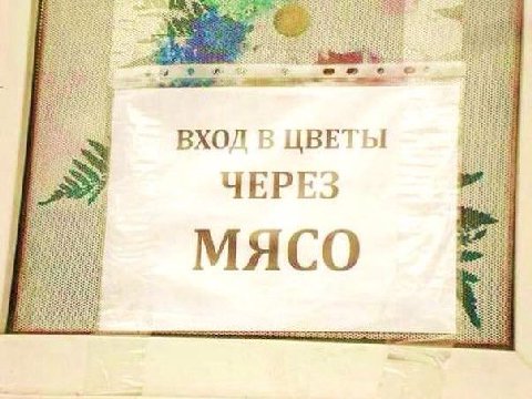 3 ВХОЛ В ЦВЕТЫ ЧЕРЕЗ МЯСО 3