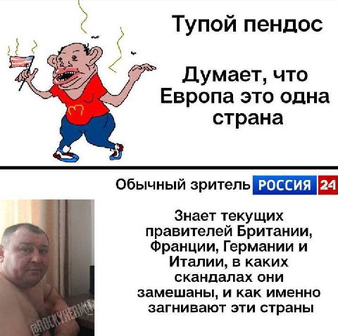 Тупой пендос Думает, что Европа это одна С) страна 2) Обычный зритель Знает текущих правителей Британии, Франции, Германии и Италии, в каких скандалах они замешаны, и как именно загнивают эти страны