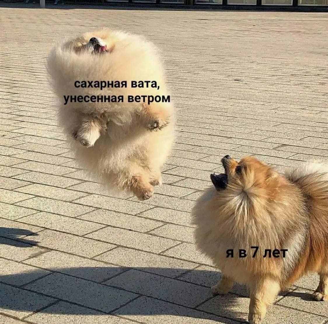 рная вата