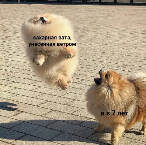 рная вата