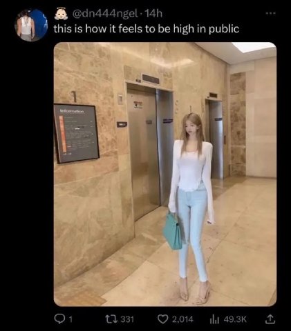 @dn444ngel-14h this is how it feels to be high in public 331 2,014