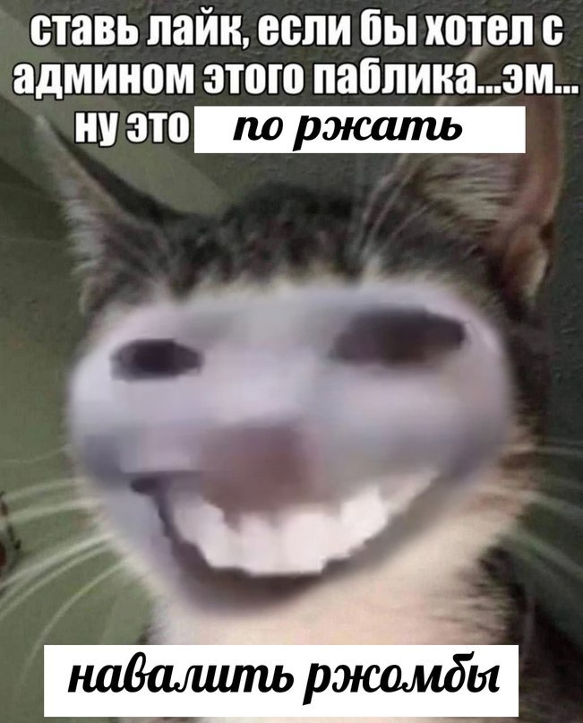 ставь лайк, если бы хотел с админом этого паблика...эм. ну это навалить