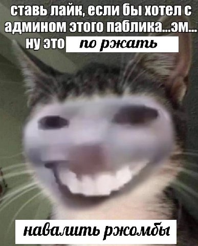 ставь лайк, если бы хотел с админом этого паблика...эм. ну это навалить