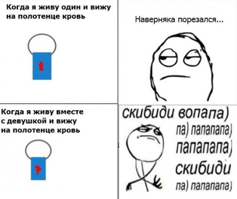 Когда я живу один и вижу на полотенце кровь Наверняка порезался... Когда я живу вместе с девушкой и вижу скибиди вопапа) на полотенце кровь папапала) скибиди папапапа)