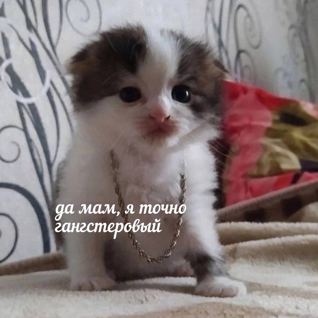 да мам, я точно