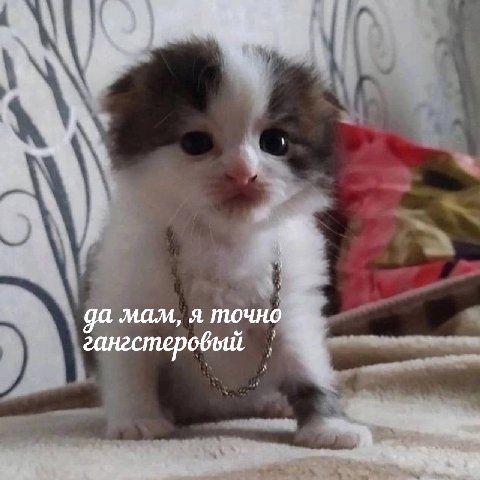да мам, я точно
