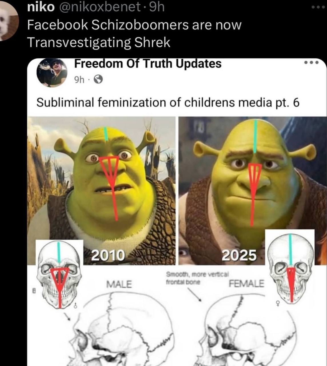 niko Facebook Schizoboomers are now Transvestigating Shrek Freedom Of Truth Updates Subliminal feminization of childrens media 6 4 he 25 у