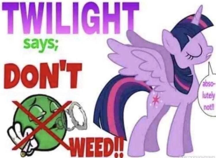 TWILIG DON'T