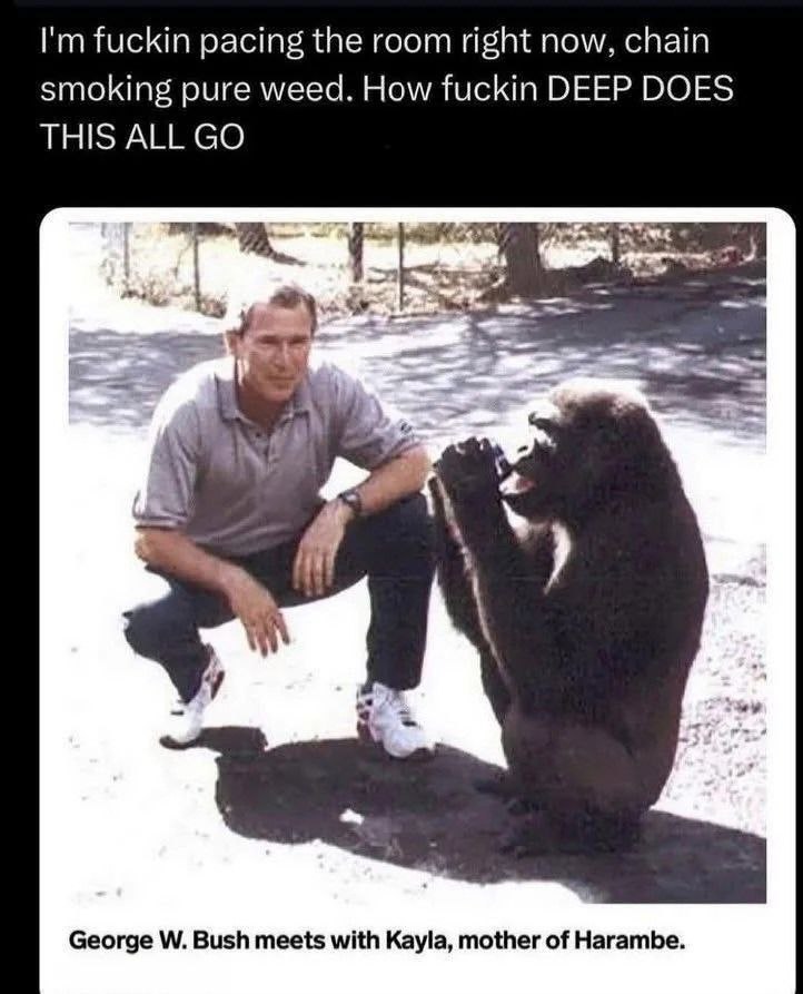 fuckin pacing the room right now, chain smoking pure weed. How fuckin DEEP DOES THIS ALL An у George Bush meets with Kayla, mother of Harambe.