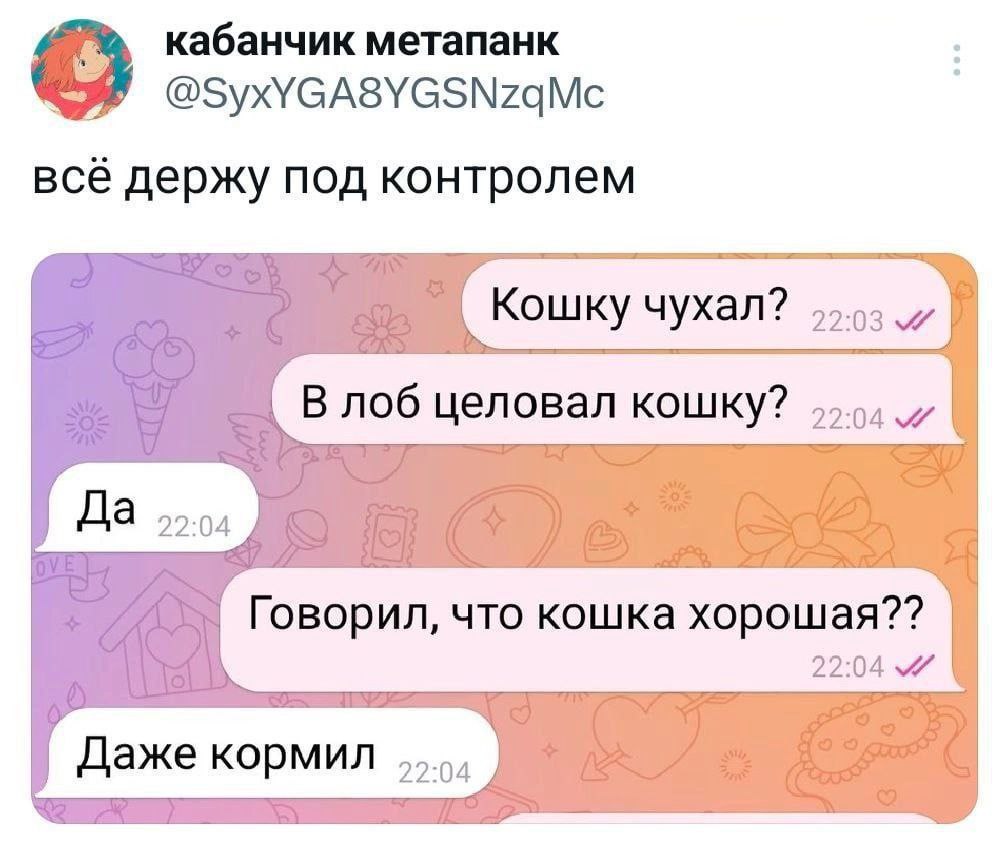 кабанчик метапанк всё держу под контролем Кошку чухал? 55.55 В лоб целовал кошку? 55.5) 7 Говорил, что кошка хорошая??