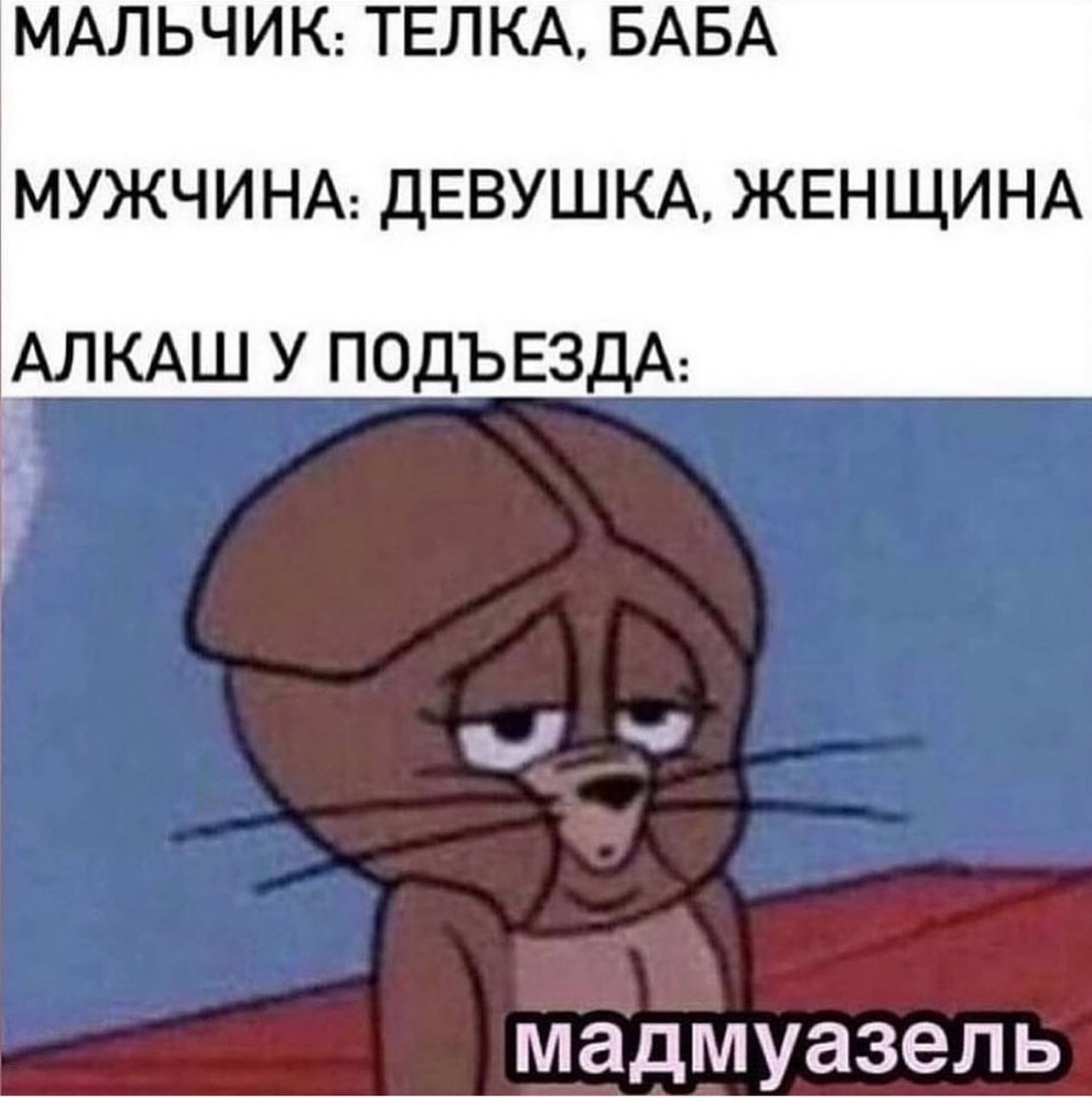 МАЛЬЧИК: ТЕЛКА, БАБА МУЖЧИНА: ДЕВУШКА, ЖЕНЩИНА АЛКАШ У ПОДЪЕЗДА: мадмуазель