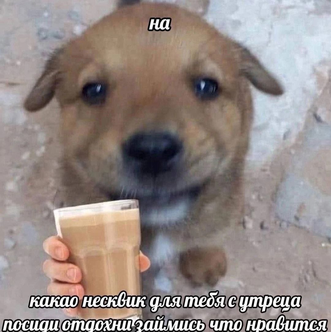 на какао несквик для тебя с утреца что нрабится
