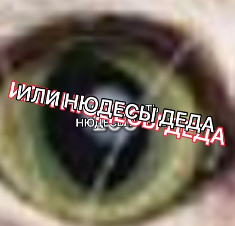 ЕДА