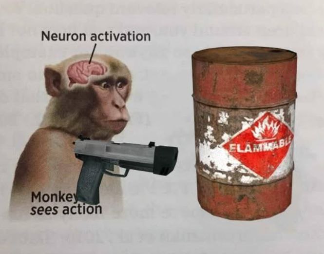 Neuron activation sees actic