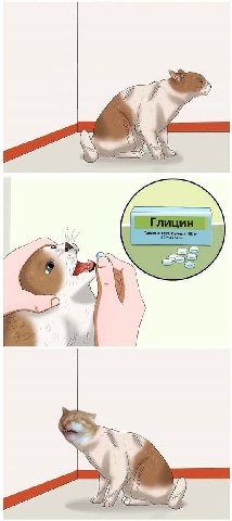 И