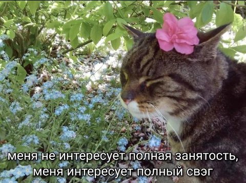 у 4 4 Was 4 4 on меня не интересует полная занятость, меня интересует ПОЛНЫЙ СВЭГ