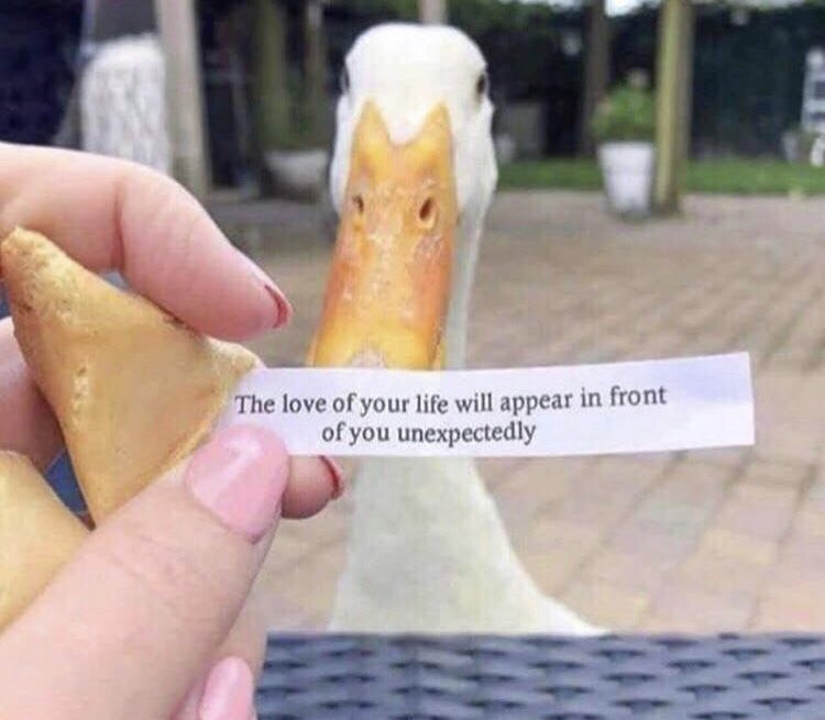 The love of your life will appear in front of you unexpectedly