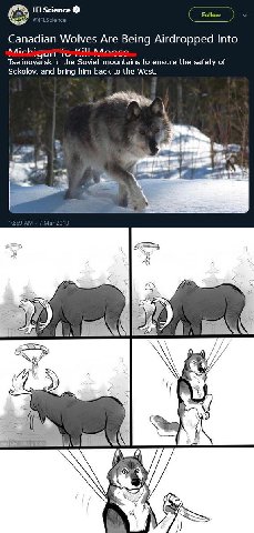 Follow IFLScience Canadian Wolves Are Being Airdropped Into Mich: Gail Tselinoyarsk in the Soviet mountains to ensure the safety of Sokolov, and bring him back to the West. 400