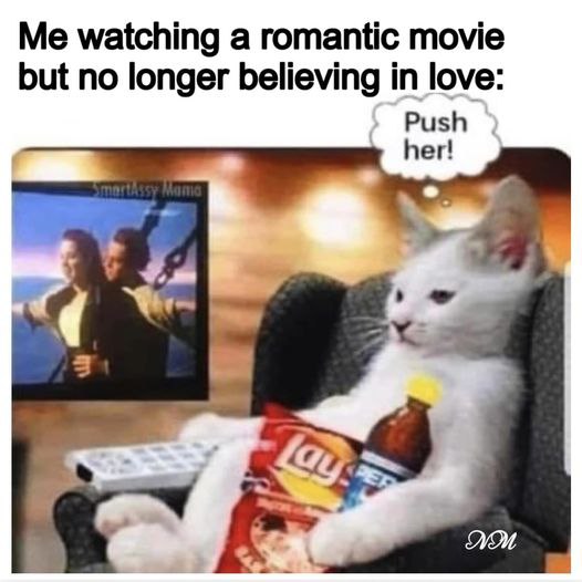 Me watching a romantic movie but no longer believing in love: Push her! 3 4