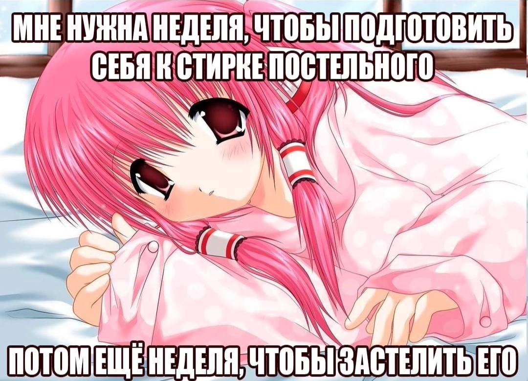 СТИРКЕ и WAN ААА a ПОТОМЕЩЕНЕДЕЛЯ ЧТОБЫ ЗАСТЕЛИТЬЕГО