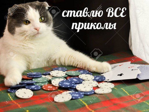 ставлю BCE приколы tin 75